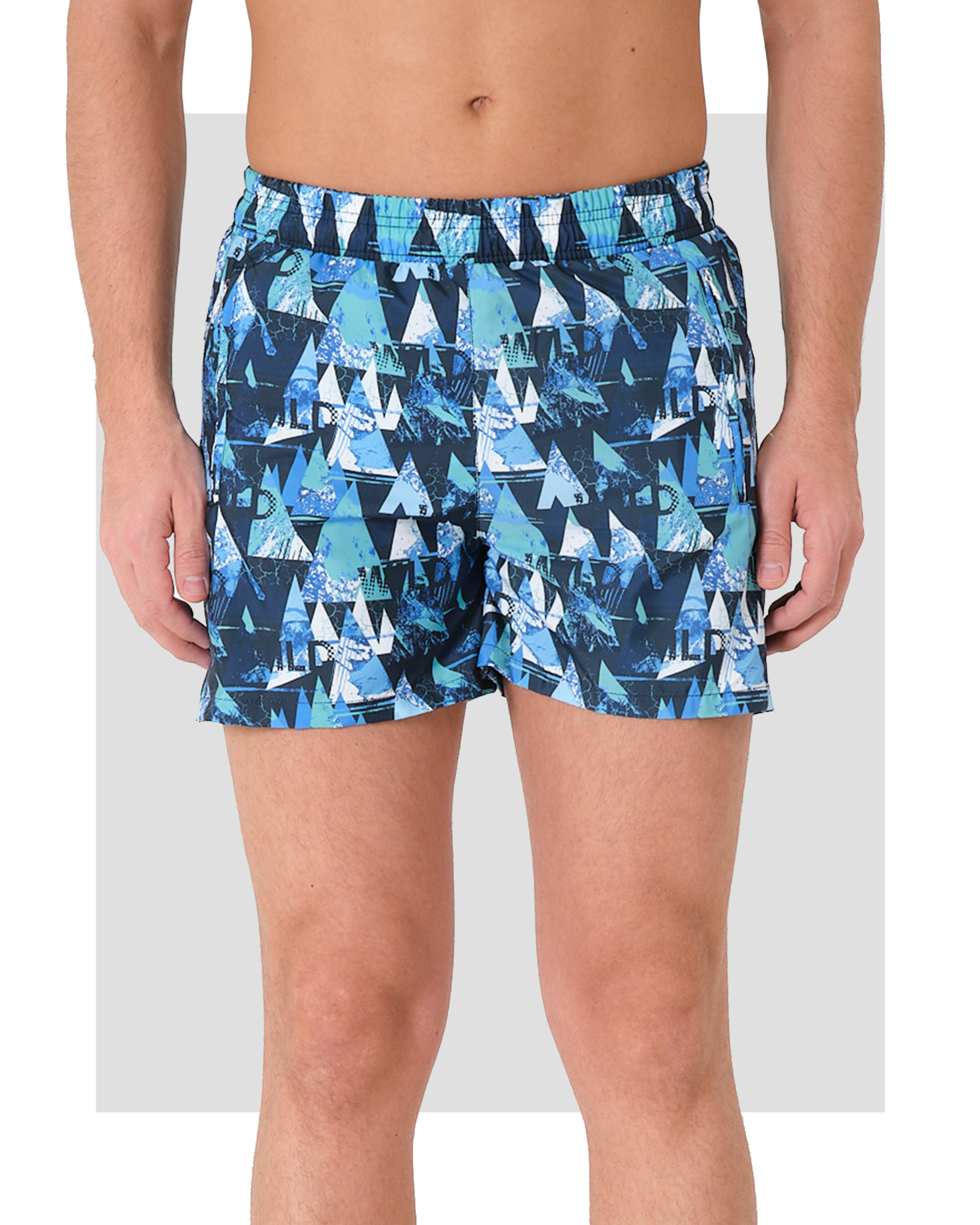Mountain Print Men's Swim Shorts